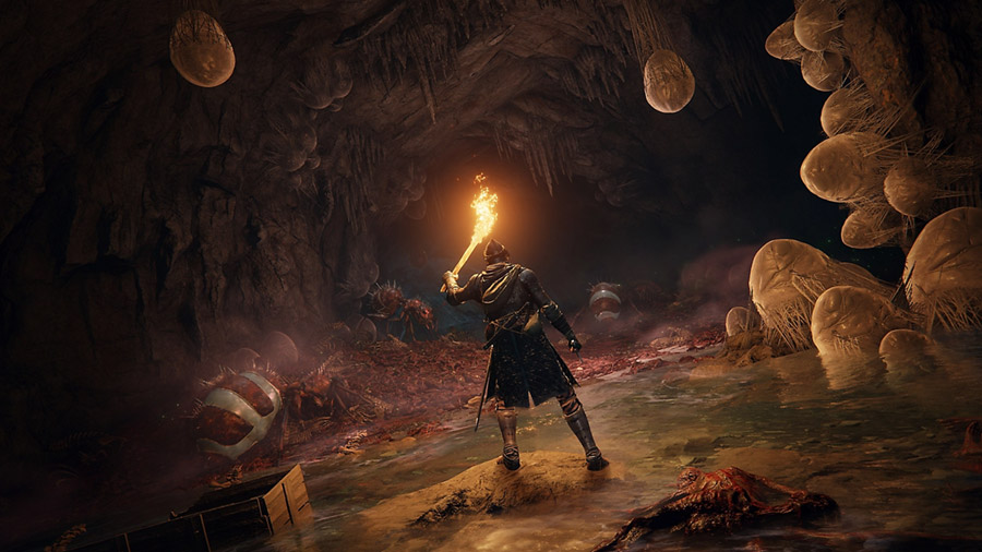 خرید بازی Elden Ring برای PS4 - تصویر 8